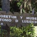 Entrada Libre: Paseo al Arboretum Lussich